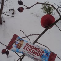 24 января — Международный день эскимо. :: Alex Aro Aro Алексей Арошенко