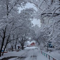 На земле белым-бело, сколько снега намело! :: Надежда Парфенова 