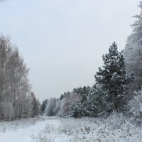 зимний пейзаж :: Владимир Зеленцов