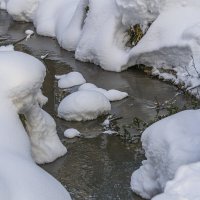 Лесной ручей зимой :: Сергей Цветков