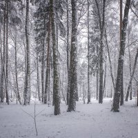 А, вокруг тишина. :: Петр Беляков