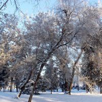 Зима.... :: раиса Орловская