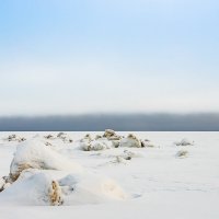 После снегопада :: Роман Дудкин