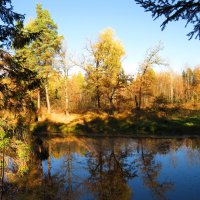 Река осенью :: Андрей Снегерёв