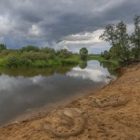 Песчаный берег :: Сергей 