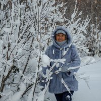 В заснеженном лесу) :: Елена Кордумова