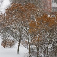 Метёт, метёт... :: Юрий Куликов