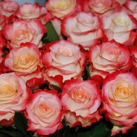 дарите женщинам цветы :: nataly-teplyakov 