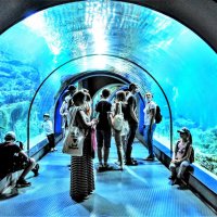Подводный тоннель... :: Анатолий Колосов