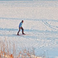 Одинокий лыжник! :: Елена Хайдукова  ( Elena Fly )