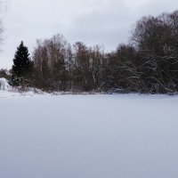 Зимний пейзаж (из поездок по области). :: Милешкин Владимир Алексеевич 