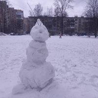 Снеговик :: Сапсан 