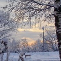 Морозное утро на Вятке.. :: Татаурова Лариса 