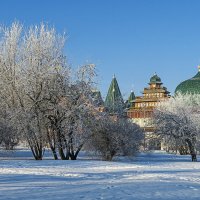 Зима в Коломенском. :: Aleksey Afonin