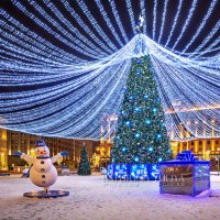 Снеговик и елка :: Юлия Батурина