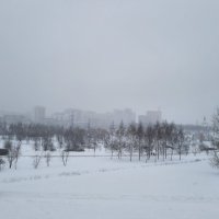 Москва, Митино, парк зимой :: Людмила Монахова