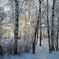 Зима в Питере2 :: Юрий Бутусов