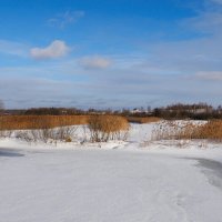 Ещё закрыты льдом озёра. :: Милешкин Владимир Алексеевич 