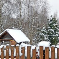 Зима в деревне :: Юрий Пучков