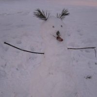 Необычный снеговик :: Дмитрий Никитин