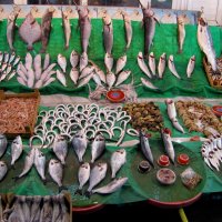 Рыбный рынок на Босфоре. :: ИРЭН@ .
