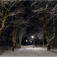 Ночь в городском парке. :: Валентин Кузьмин