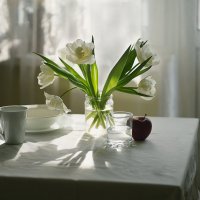 Букет тюльпанов на столе... :: Liliya 