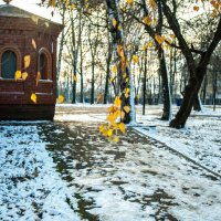 Первый снежок. :: Анатолий Нецепляев