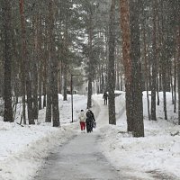 Прогулка в снегопад. :: Николай Масляев