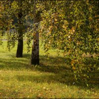 Осень в Царицыно :: Василиса Никитина