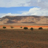 Пустыня Намиб :: Зуев Геннадий 