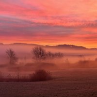 winter morning :: Elena Wymann