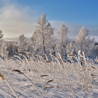 Утренний пейзаж уходящей зимы :: Алексей Мезенцев