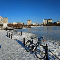 "Автопортрет" с "железным другом" :: Андрей Лукьянов