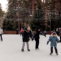 Все на каток! :: Сергей Царёв