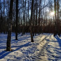Последний день зимы - тема с вариациями :: Андрей Лукьянов