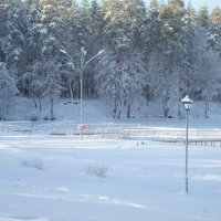 Снежная зима в городе :: Лидия (naum.lidiya)