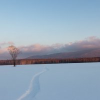 Зимний пейзаж :: Николай Шепелев