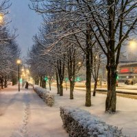 Утренний снегопад в Белгороде :: Игорь Сарапулов