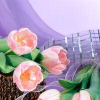 Розовые тюльпаны :: Ольга Бекетова