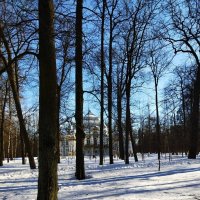 А в парках еще снег лежит... :: Tatiana Markova