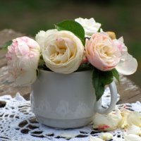 Ностальгические розы в белой чашке. :: Татьяна Гнездилова
