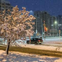 Ночной снегопад :: Игорь Сарапулов