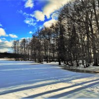 Озеро Пюхаярв в начале марта 2022 :: Aida10 