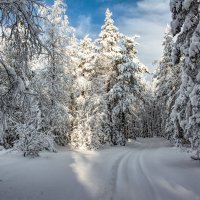 Зимняя дорога :: Vladimbormotov 