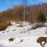 Солнечный берег Днепра (из поездок по области). :: Милешкин Владимир Алексеевич 