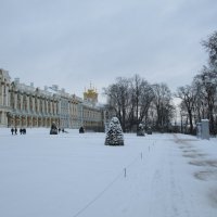 Екатерининский дворец зимой. :: Татьяна Ф *