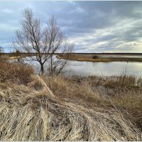 Река Прохладная. :: Валерия Комова