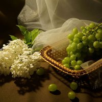Гроздь спелого винограда в плетёной корзине и белая гортензия. :: Tatiana Glazkova
