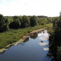 САМАРСКАЯ ОБЛАСТЬ, КРАСНОАРМЕЙСКИЙ РАЙОН, РЕКА ЧАПАЕВКА! :: Сергей Белов